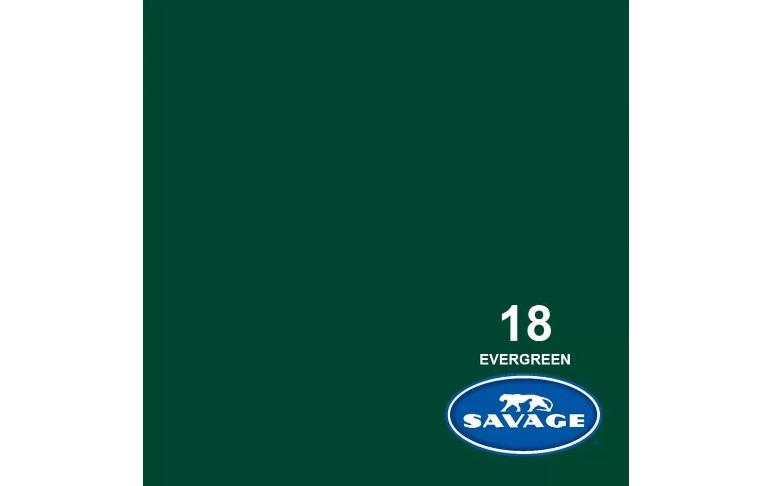 Budget 🤩 Savage Fond Papier 1.35 X 11 M Evergreen - Accessoires Divers 🤩 1 Budget 🤩 Savage Fond Papier 1.35 X 11 M Evergreen - Accessoires Divers 🤩