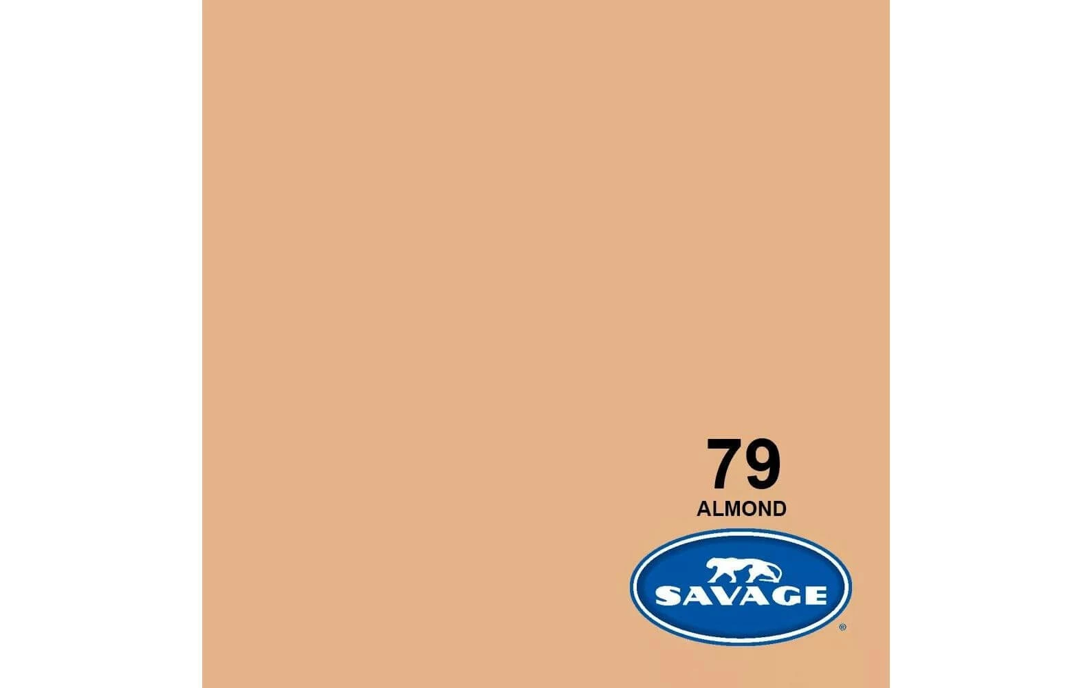 Nouveau 🔔 Savage Fond Papier 2.72 X 11m Almond - Accessoires Divers 👍 1 Nouveau 🔔 Savage Fond Papier 2.72 X 11m Almond - Accessoires Divers 👍
