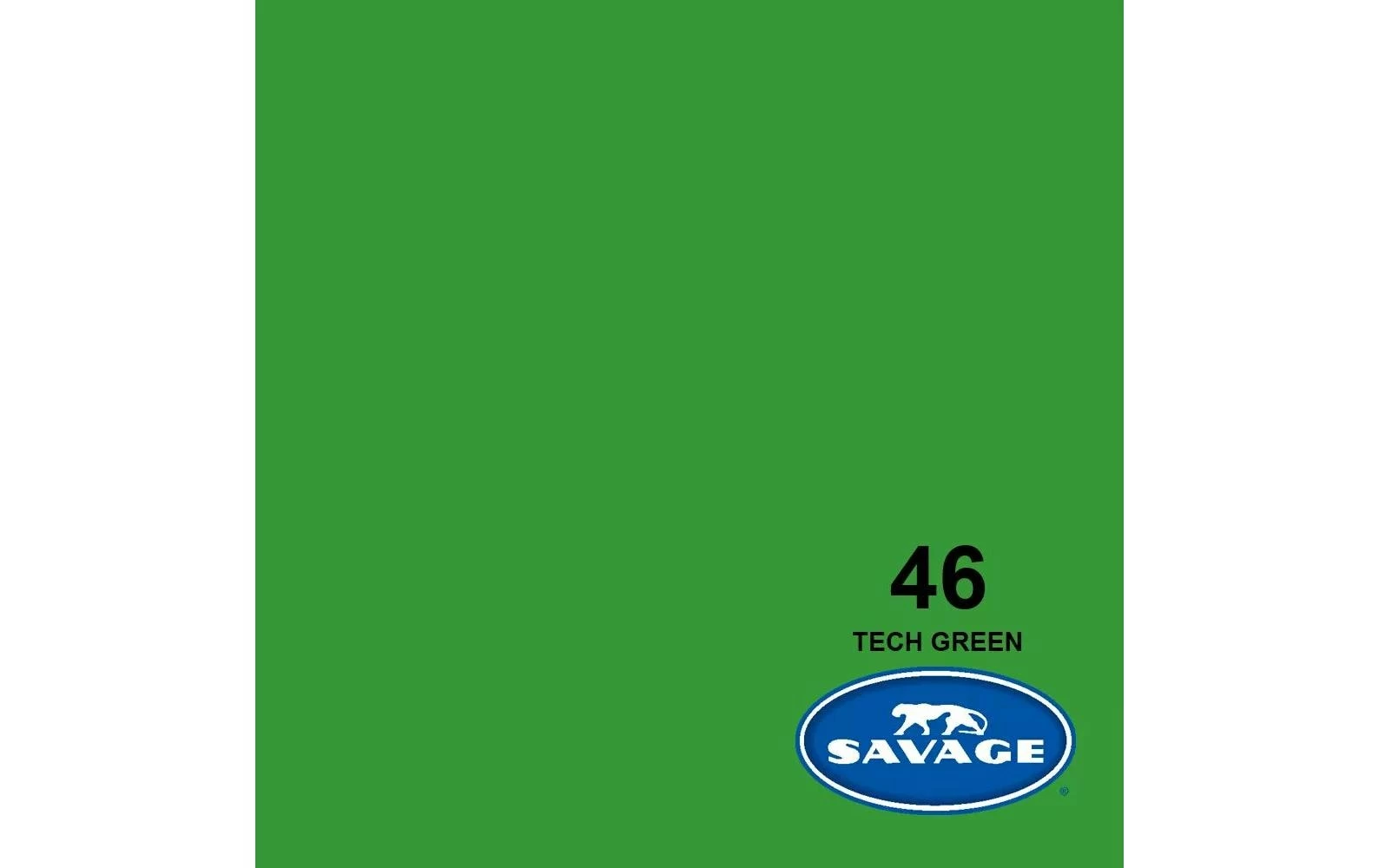 Acheter đ Savage Fond Papier 1.35 X 11 M Tech Green - Accessoires Divers â 1 Acheter đ Savage Fond Papier 1.35 X 11 M Tech Green - Accessoires Divers â