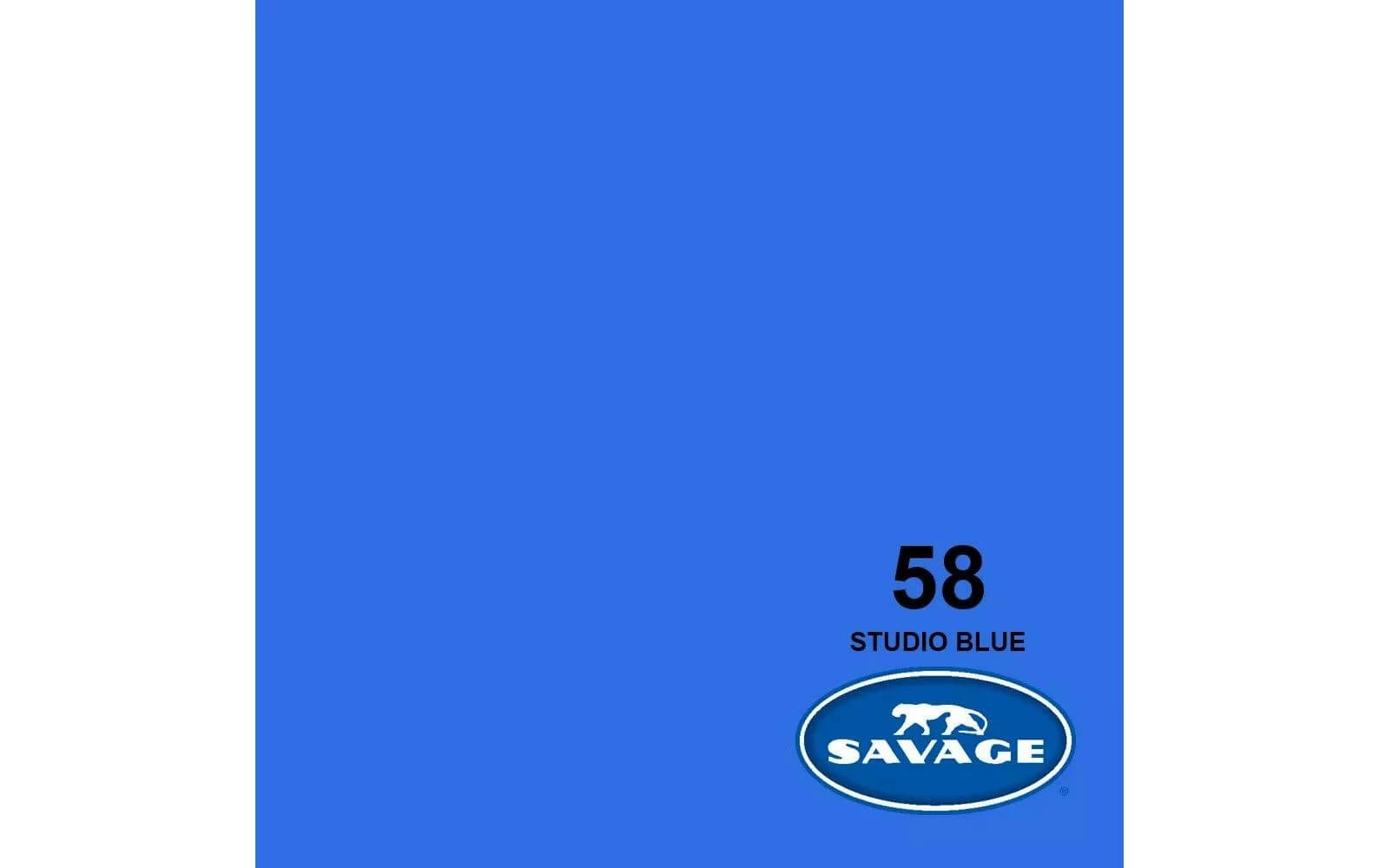 Meilleure affaire 🌟 Savage Fond Papier 2.72 X 11m Studio Blue - Accessoires Divers ⭐ 1 Meilleure affaire 🌟 Savage Fond Papier 2.72 X 11m Studio Blue - Accessoires Divers ⭐